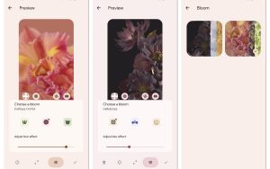 [下载] Pixel 6系列植物主题动态壁纸泄露