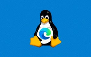 Linux版Edge浏览器稳定版曝光：微软尚未官宣