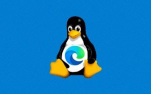 微软官网正式开放Linux 版 Edge 浏览器稳定版下载