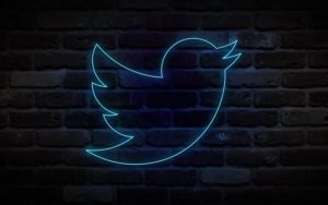 推特付费订阅功能Twitter Blue已在美国推出