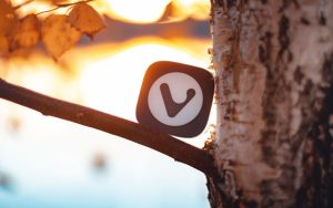 Vivaldi 浏览器推出主题导入和导出功能