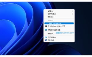 [技巧] 通过Win11/Win10右键菜单快速检查系统更新