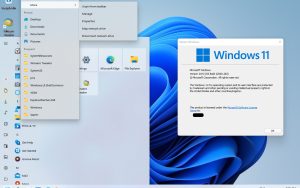 10SM：帮助Windows 11恢复经典的Win10菜单