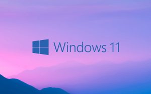 3月周二补丁日，微软为Win11正式版发布累积更新KB5011493