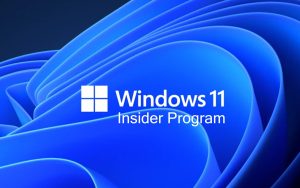 微软称本周暂不发布Windows 11预览版更新，下周恢复发布
