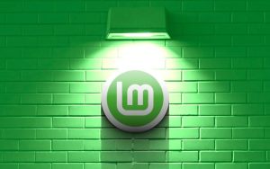 Linux 发行版 Linux Mint 21被官方命名为“Vanessa”