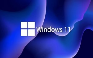 微软发布「精简版」Win11：专用于软硬件厂商及开发者排障