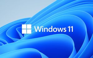 微软发布Win11 Build 22000.776 (KB5014668) ：带来Search Highlights功能等