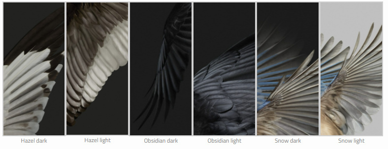 [资源] 谷歌Pixel 7 和 Pixel 7 Pro原生壁纸（全6张）