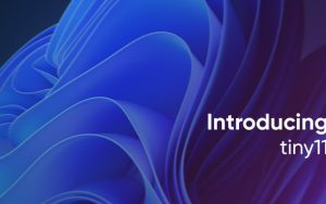 [下载] Win11精简版Tiny11 for Arm64版镜像发布