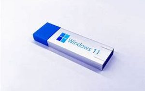 WinToUSB最新支持Windows 11 Lite ISO（live11）