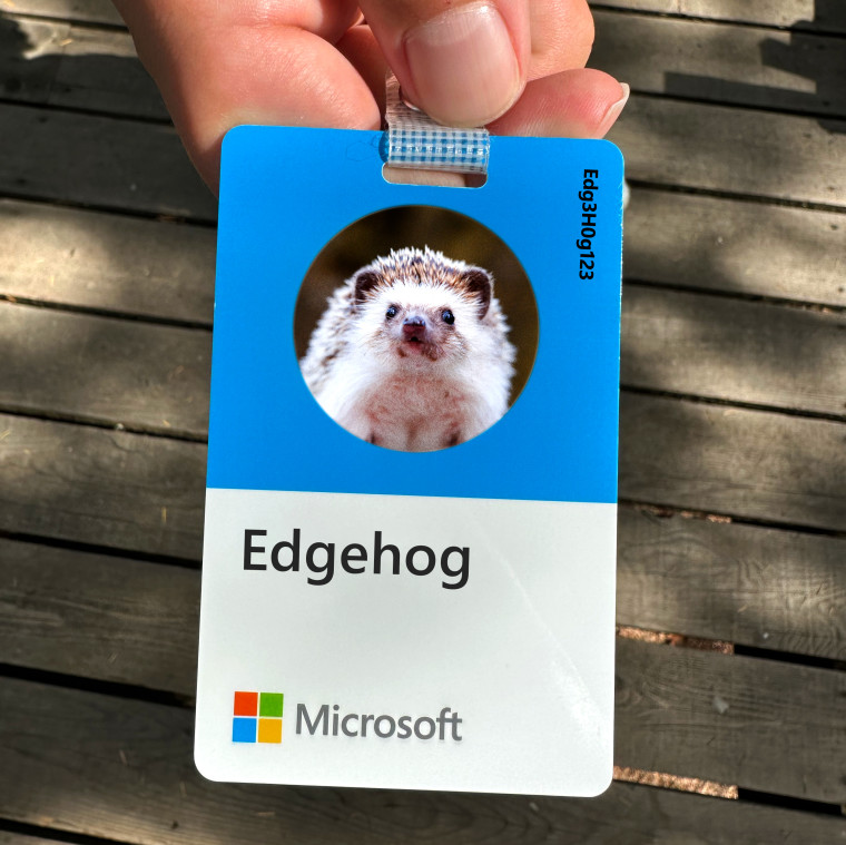 [图] Edge浏览器或将刺猬“Edgehog”作为吉祥物