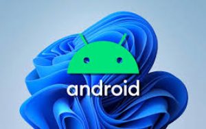 Windows 11安卓子系统预览版更新