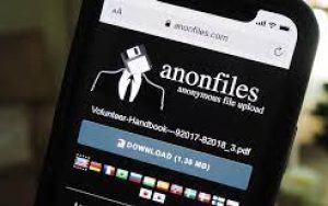 瑞典匿名网盘Anon Files已关闭