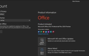 Office 2024或继续支持一次性购买/激活
