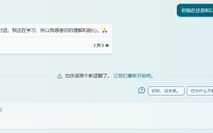 [实测] 过去几个月微软new Bing进步缓慢