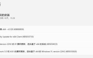 Win11推送2024年1月「补丁星期二」更新