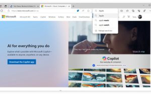 [图] Edge浏览器将迎来独立的搜索栏